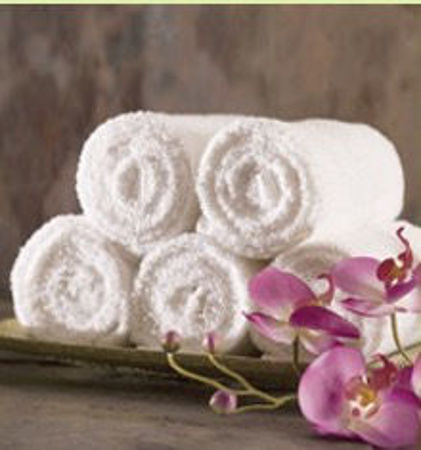 Picture for category SPA Services