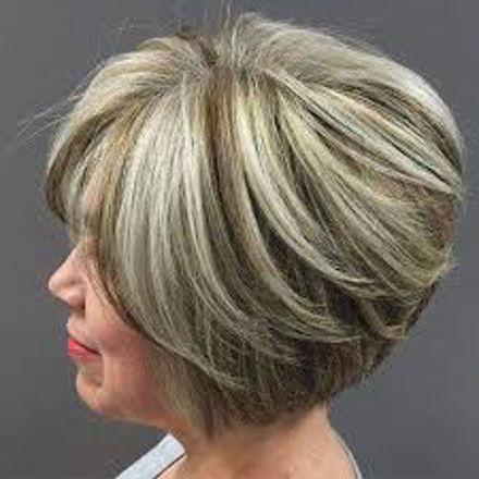 Picture of Foil Highlights - Blowdry
