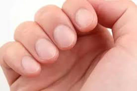 Picture of Fingernail Trim